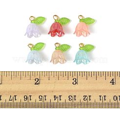 50шт прозрачные акриловые подвески&nbsp;PALLOY-FS00043-03