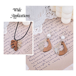 20шт 10 стильные подвески из смолы и орехового дерева&nbsp;RESI-KS0001-05