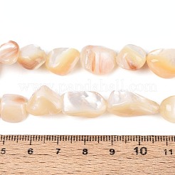 Нити бусин из натуральных морских раковин&nbsp;SSHEL-N041-02A