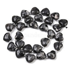 Натуральные нити бус из ларвикита&nbsp;G-NH0069-A10