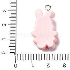 Подвески из непрозрачной смолы&nbsp;RESI-V011-01B