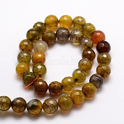 Окрашенные естественный агат граненый бисер пряди круглые&nbsp;LS-G-E320E-8mm-10