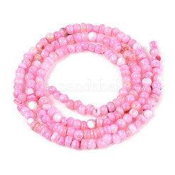 Натуральные пресноводные окрашенные бусы из ракушек&nbsp;SHEL-T020-29B-07