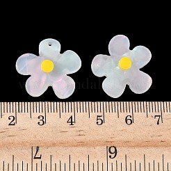 Непрозрачные акриловые подвески&nbsp;FIND-K024-02B