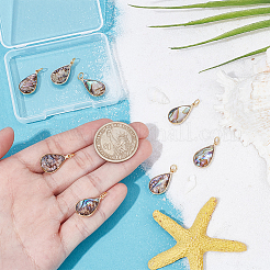 8 шт. подвески из натуральной ракушки пауа и эпоксидной смолы&nbsp;KK-UN0005-02