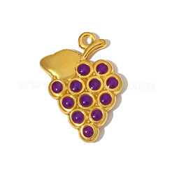 Подвески с фруктами из эмалированной нержавеющей стали 304&nbsp;STAS-OY005-15G