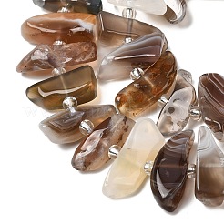 Природные Ботсвана агат бисер нитей&nbsp;G-L649-A06-01