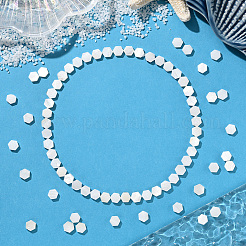 2 нить бусин из натуральных пресноводных ракушек&nbsp;SSHEL-SC0001-36B