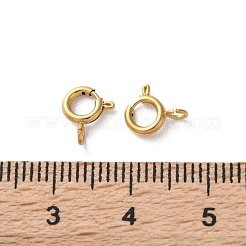 Ионное покрытие (ip) пружинные застежки из нержавеющей стали 304&nbsp;LS-X-STAS-C114-04A-G