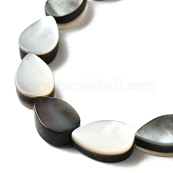 Нити бусин из натуральной черной ракушки для губ&nbsp;BSHE-D300-04A