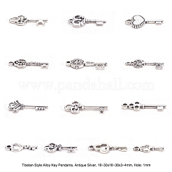 Тибетский стиль ключевые сплава подвески&nbsp;TIBEP-X0001-02-AS