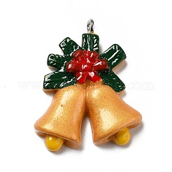 Подвески из непрозрачной смолы&nbsp;RESI-D055-010P