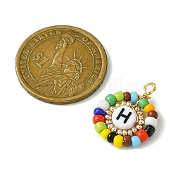 26 шт. подвески из акрилового стекла с бусинами&nbsp;PALLOY-MZ00303