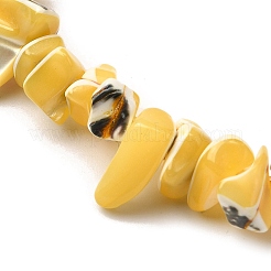 Нити бусин из натуральных трохоидных/трохус ракушек&nbsp;SHEL-B003-02H