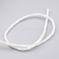 Природные оболочки нитей бисера&nbsp;LS-BSHE-P016-05