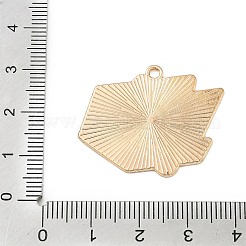 Подвески из спортивного сплава с эмалью&nbsp;ENAM-I074-01G-16