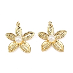 Латунные подвески&nbsp;KK-L255-23G