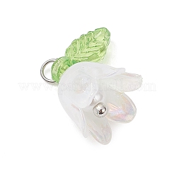 5шт прозрачные акриловые подвески&nbsp;PALLOY-JF04703-02