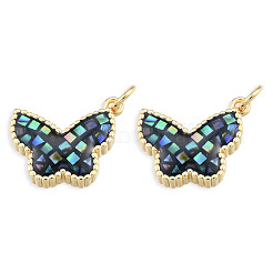 Подвески из натуральной раковины морского ушка/пауа&nbsp;KK-N227-113