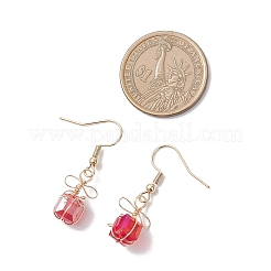 Подарочные серьги-подвески из нержавеющей стали 304&nbsp;EJEW-JE06684