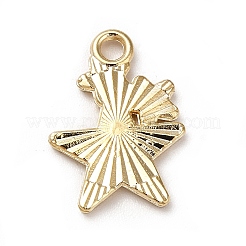 Подвески из эмали и сплава&nbsp;ENAM-M046-03G