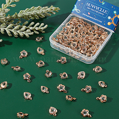 100 шт.&nbsp;IFIN-SC0001-37