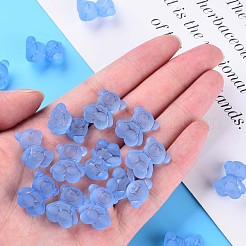 Прозрачные акриловые бусины&nbsp;MACR-S373-80-D14