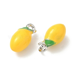 Подвески из эмали и сплава&nbsp;FIND-G108-03A-P