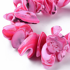 Натуральная оболочка трохида SSHEL-N034-105-A01