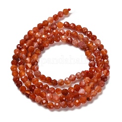 Натуральные южные красные агатовые бусины&nbsp;G-Z074-A02-01B