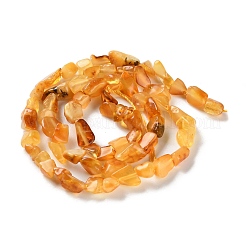 Янтарные шарики нити G-P497-01C-04