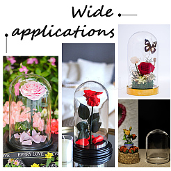 Купол из прозрачного стекла&nbsp;AJEW-CP0005-90C