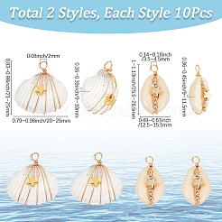 20 шт. 2 стиля подвески из натуральной ракушки каури/спиральной ракушки&nbsp;FIND-SC0014-25