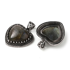 Природные подвески лабрадорита&nbsp;G-A095-01AS-01