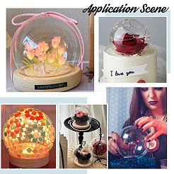 Стеклянная круглая крышка&nbsp;AJEW-WH0314-447A-01