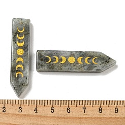 Подвески с фазой луны из натурального лабрадорита&nbsp;G-C145-01E