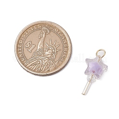 5 шт. подвески из акрила и стекла&nbsp;PALLOY-JF03526-01