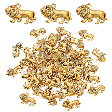 Подвески из цинкового сплава в тибетском стиле&nbsp;FIND-GA0008-12A-1