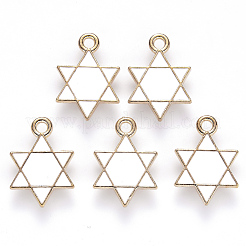 Подвески из эмали и сплава&nbsp;X-ENAM-S121-025