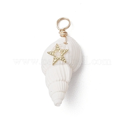 6шт 6 стиля подвески из натуральных ракушек&nbsp;PALLOY-JF03882