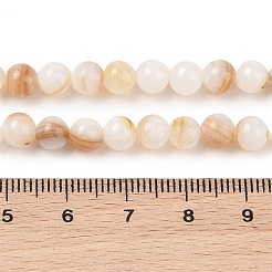 Нити бусин из натуральных пресноводных ракушек&nbsp;SHEL-T011-02-6mm