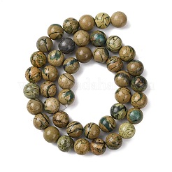 Натуральные зеленые бусины с прожилками дракона&nbsp;G-D098-A01-8mm