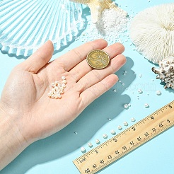 10 шт. бусины из натурального пресноводного жемчуга PEAR-YW0001-07B