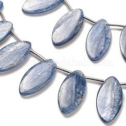 Натуральный кианитовые бисер пряди&nbsp;G-H335-H01-12x15mm