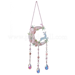 Подвеска из натурального розового кварца в форме луны&nbsp;HJEW-D302-10