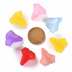 Прозрачные колпачки акриловая бисера&nbsp;PL551M