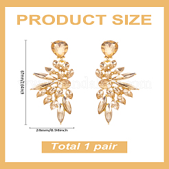 1 пара сережек-гвоздиков в форме крыльев из смолы&nbsp;EJEW-LP0001-23A