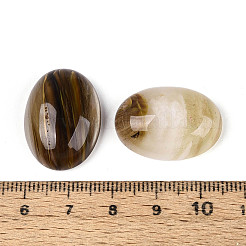 Окрашенные тигровые стекла кабошоны&nbsp;G-T144-77