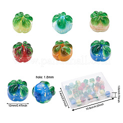 30шт 6 цвета бусины лэмпворк ручной работы&nbsp;LAMP-CD0001-12