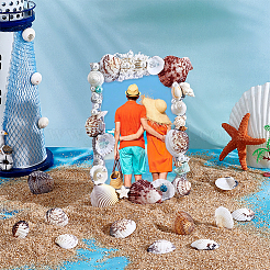 40 шт. натуральная ракушка для украшения аквариума&nbsp;SHEL-PH0001-69D